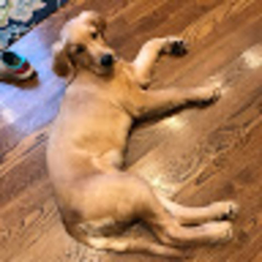 Meet your Posher, Jillian